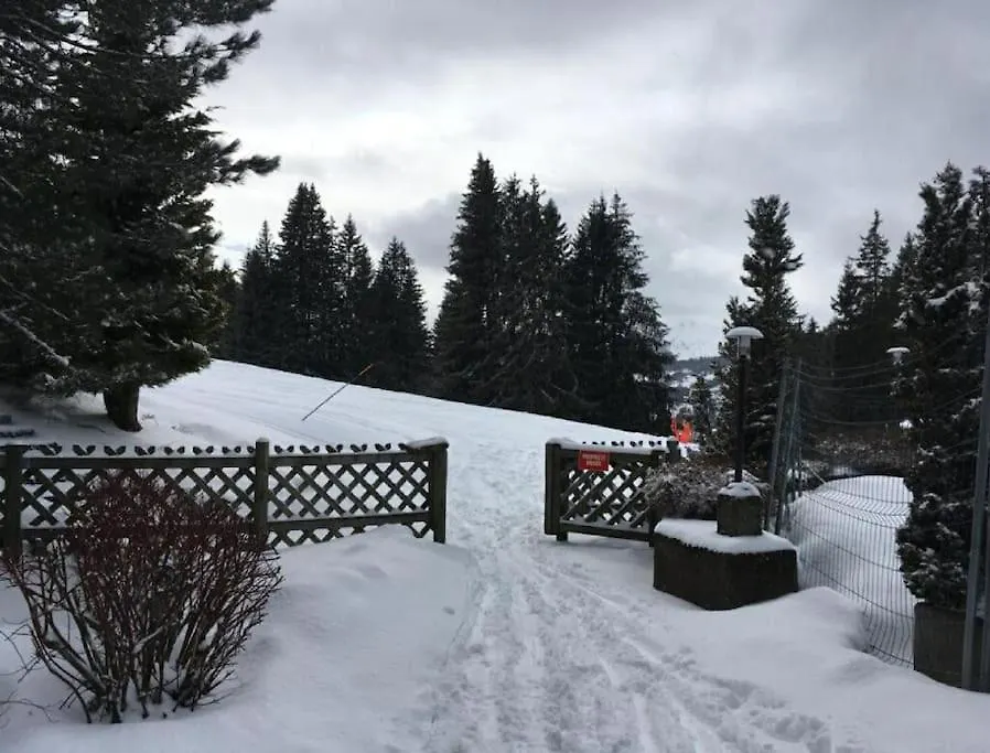 Appartamento Studio Ski Aux Pieds Vue Superbe Sur Les Pistes Les Gets Francia