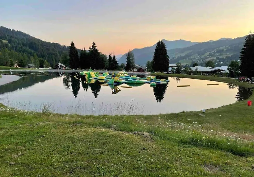 Studio Ski Aux Pieds Vue Superbe Sur Les Pistes Les Gets